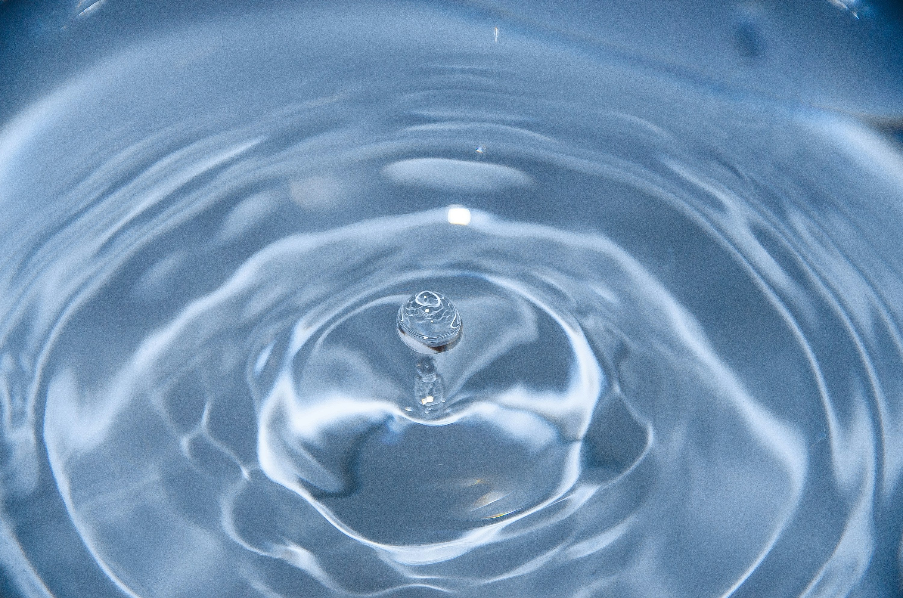 Shampoo Bar for Hard Water: Why Some Bars Work and Others Leave Waxy Buildup