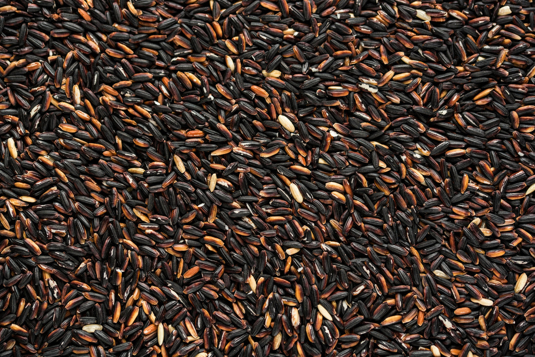 Korean Black Rice in Hair Care: Antioxidant Benefits and What Research Shows