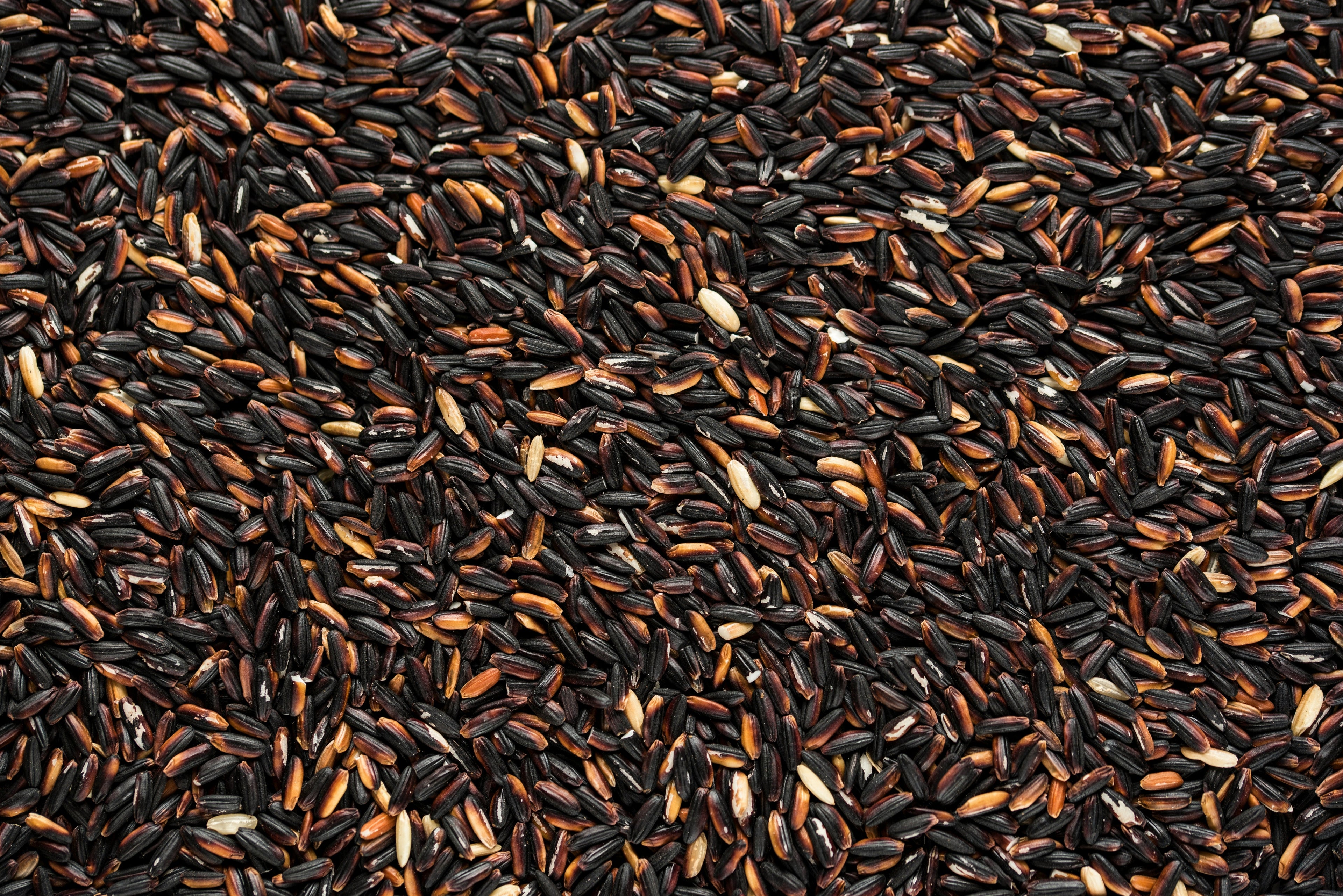 Korean Black Rice in Hair Care: Antioxidant Benefits and What Research Shows